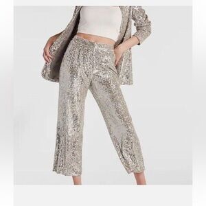 Express Silver Sequin Pants